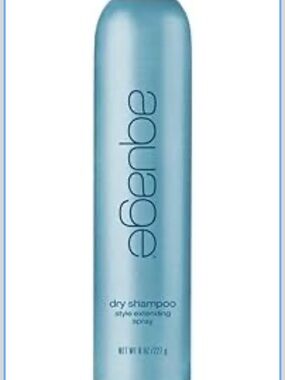 Aquage Dry Shampoo Styling Spray - large bottle